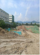 1728868454107249.jpg 1728868413290.jpg