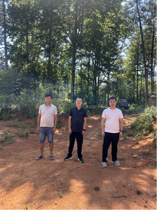 1770275630188284.png deb5f964-30b7-43b5-a467-e0ab1398574f.png